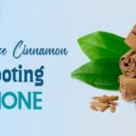 Can I Use Cinnamon as a Rooting Hormone?