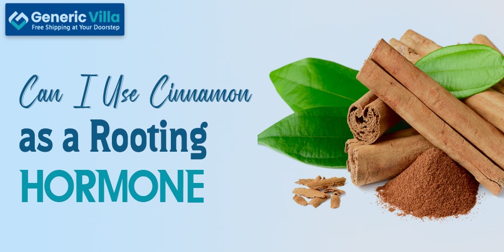 Can I Use Cinnamon as a Rooting Hormone?