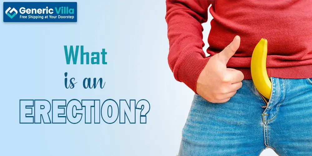 What is Erection?